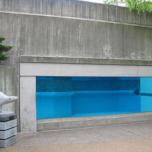 Bear Habitat - Polar Bear Exhibit