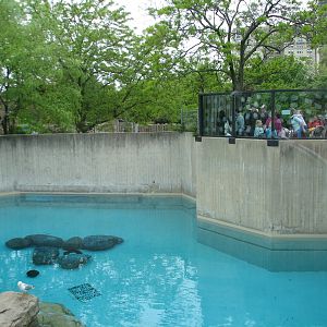 Bear Habitat - Polar Bear Exhibit