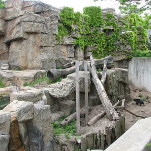 Bear Habitat - Sun Bear Exhibit