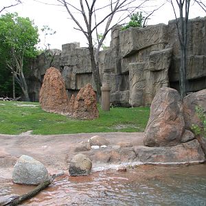 African Journey - Giraffe, Grants Gazelle, and Ostrich Exhibit