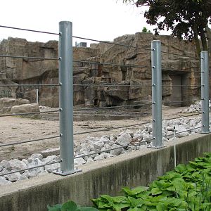 African Journey - Black Rhinoceros Exhibit 1