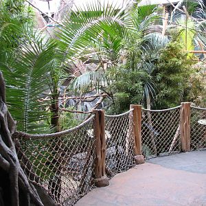 African Journey - Bird Exhibit