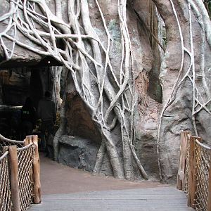 African Journey - African Dwarf Crocodile Exhibit Entrance