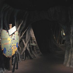 African Journey - Insect Exhibits Area