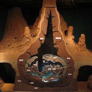 African Journey - Termite Mound Display