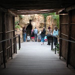 African Journey - Hallway