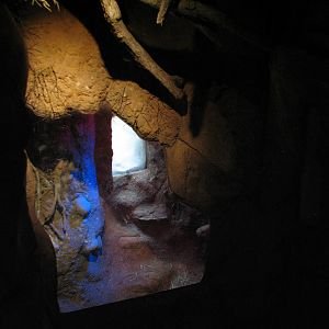 African Journey - Aardvark Exhibit Den