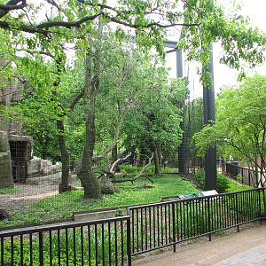 Birds of Prey - Cinereous Vulture and White Stork Exhibit