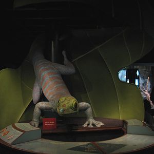 Small Mammal and Reptile House - Gecko Model