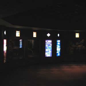 Small Mammal and Reptile House - Small Mammal Wall Exhibits