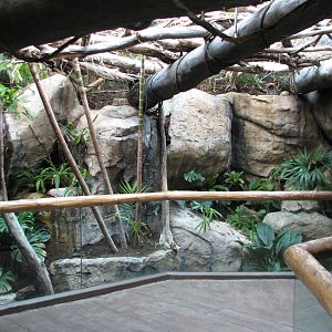 Small Mammal and Reptile House - Path