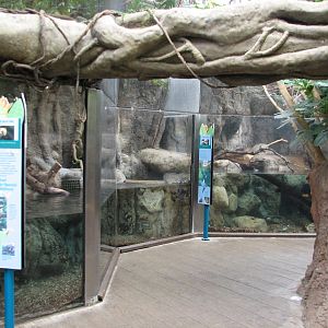 Small Mammal and Reptile House - Exhibit Path