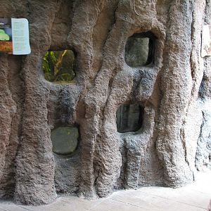 Small Mammal and Reptile House - Leafcutter Ant Exhibit