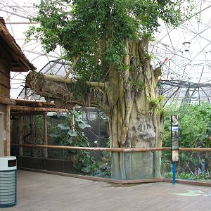 Small Mammal and Reptile House - Balcony