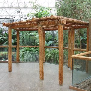 Small Mammal and Reptile House - Balcony