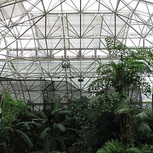 Small Mammal and Reptile House - Interior View