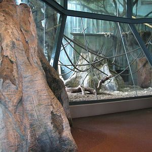 Center for African Apes - Chimpanzee Exhibit Bedroom