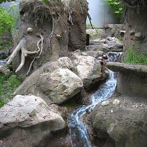 Childrens Zoo - River Otter Exhibit