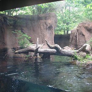 Childrens Zoo - River Otter Exhibit