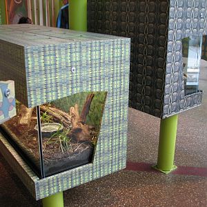 Childrens Zoo - Terrariums