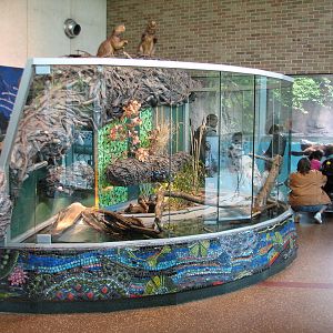 Childrens Zoo - Turtle Exhibit