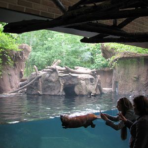 Childrens Zoo - Beaver Exhibit