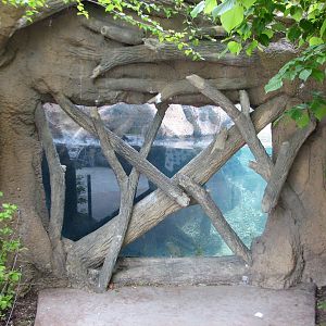 Childrens Zoo - Beaver Exhibit