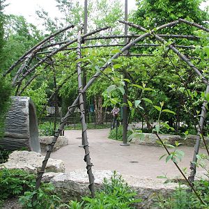 Childrens Zoo - Play Area
