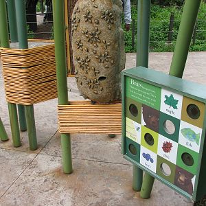 Childrens Zoo - Black Bear Exhibit Scent Display