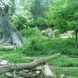 Childrens Zoo - Black Bear Exhibit