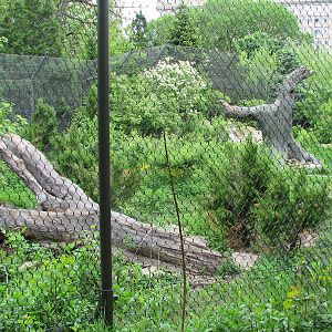 Childrens Zoo - Black Bear Exhibit