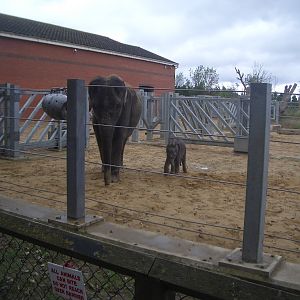 Noorjahan and Ganesh Vijay - August 2009