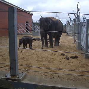 Noorjahan and Ganesh Vijay - August 2009