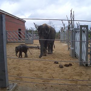 Noorjahan and Ganesh Vijay - August 2009