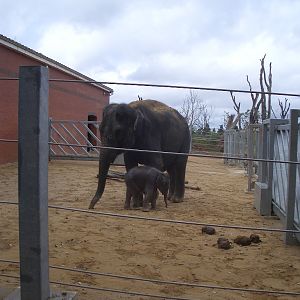 Noorjahan and Ganesh Vijay - August 2009