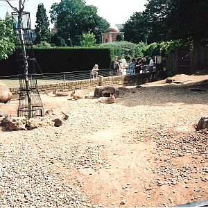 Bristol Zoo July 1989