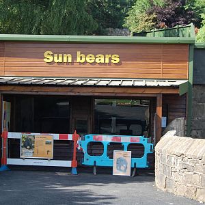 Sun Bear Exhibit