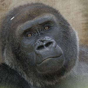 Salome in her favourite spot