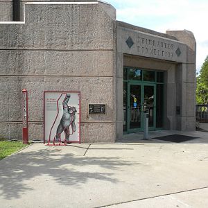 Chimpanzee Connection