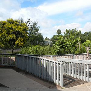 Chimpanzee Connection