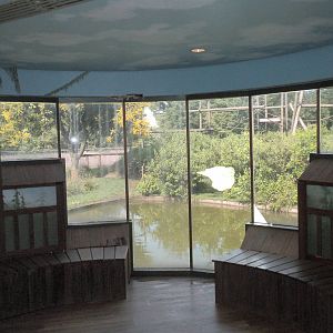 Chimpanzee Connection