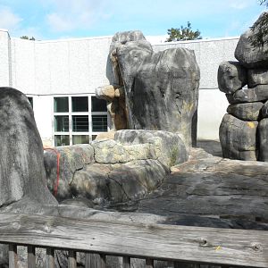 North American Living Museum - Polar Bear exhibit