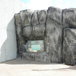 North American Living Museum - Polar Bear exhibit