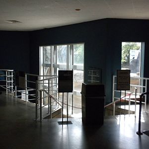 North American Living Museum - Polar Bear exhibit