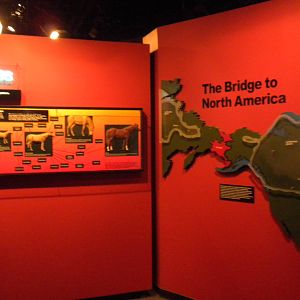 North American Living Museum - Time gallery