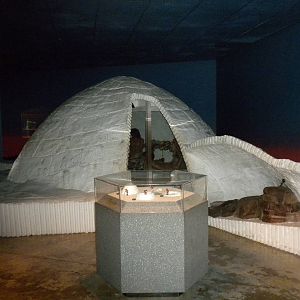 North American Living Museum - Arctic Tundra