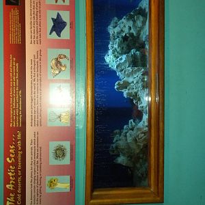 North American Living Museum - Arctic Seas