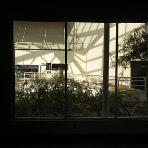 North American Living Museum - Southwest Desert