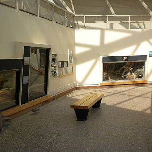 North American Living Museum - Southwest Desert