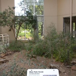North American Living Museum - Southwest Desert